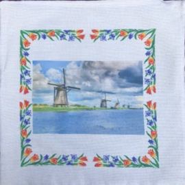 Windmills of Kinderdijk