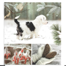 Wenskaart Winter 1