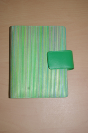 Succes Organizer Mini Stripes groen kalfshuid