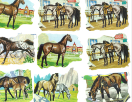 Setje poezieplaatjes los Paarden