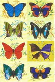 Poezieplaatjes Nostalgische vlinders MLP 1250