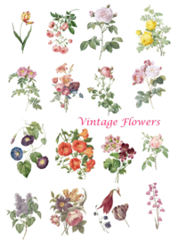 A4 Stickervel Vintage flowers