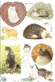 Poezieplaatjes Ivory Cats MLP 1815