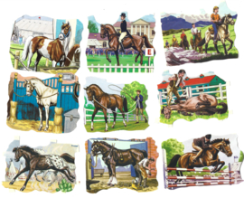 Setje poezieplaatjes los Paarden