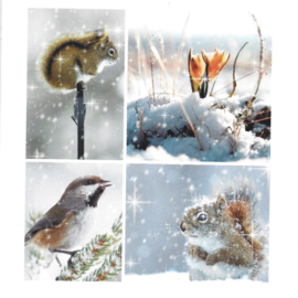Wenskaart Winter 12