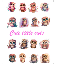 A4 Stickervel Cute little owls