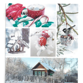 Wenskaart Winter 7
