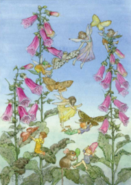 PCE 176 Fairies And Foxgloves