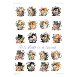 A4 Stickervel Cute  Cats in a teacup