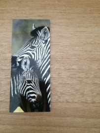 Magnetische Boekenlegger Zebra