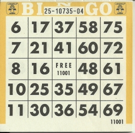 Bingoblaadjes set a 25 st.