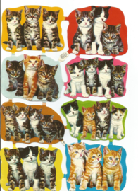 Nostalgische Poezieplaatjes  Kruger 98/49 Kittens