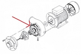 Rhima WD12