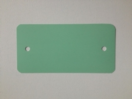 PVC-labels 54x108mm pastel groen 2 gaten 1000st Td35987121
