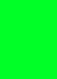 Prijskaart fluor groen 4x6cm 100st Td21349406