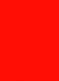 Prijskaart fluor rood 16x24cm 100st Tfr162414K