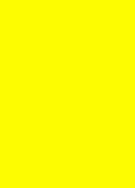 Prijskaart  fluor geel 4x6cm 100st Td21330406