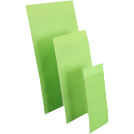 Cadeauzakje groen 12x19cm 200st Tpk265307