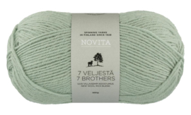 7 Veljesta 305 mint groen