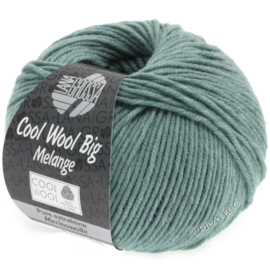 Cool Wool Big 332