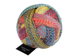 Zauberball Crazy 2429