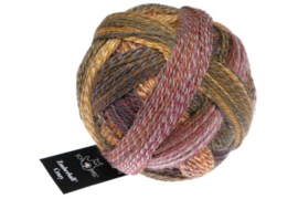 Zauberball Crazy 2692