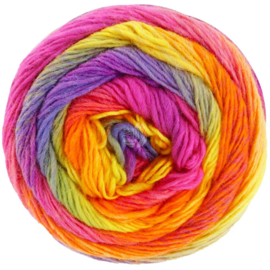 Meilenweit color mix multi 8009