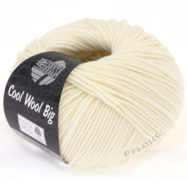 Cool Wool Big 601