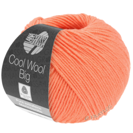 Cool Wool Big 993