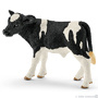 13798 Holstein Kalf