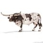 13721 Texas Longhorn stier.