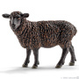 13785 Zwart Schaap Out