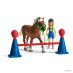 42481 Pony agility training