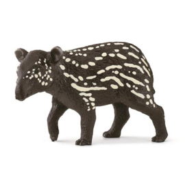 14851 Tapir baby