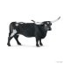 13865 Texas Longhorn Koe