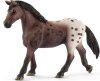 13861 Appaloosa merrie