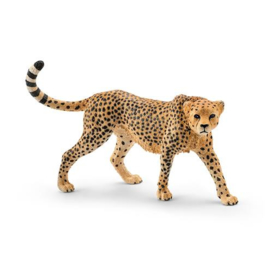 14746 Cheetah
