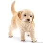 16396 Golden Retriever Puppy.