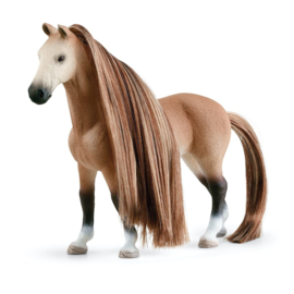 42588 Paarden Beauty Salon