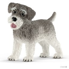 13892 Dwerg schnauzer