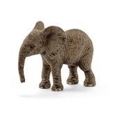 14763 Afrikaanse olifant jong