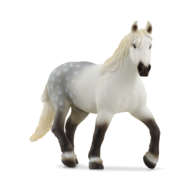 13971 Percheron Mare