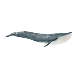 14806 Blauwe walvis