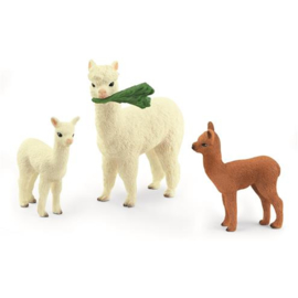 42544 Alpaca familie.