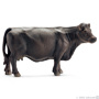 13767 Black Angus Koe. Out