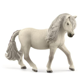 13942 Ijsland pony merrie