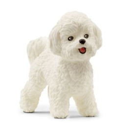 13963 BICHON FRISÉ