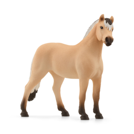 13979 Noors Fjordenpaard