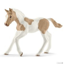 13886 Paint Horse veulen