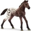 13862 Appaloosa veulen